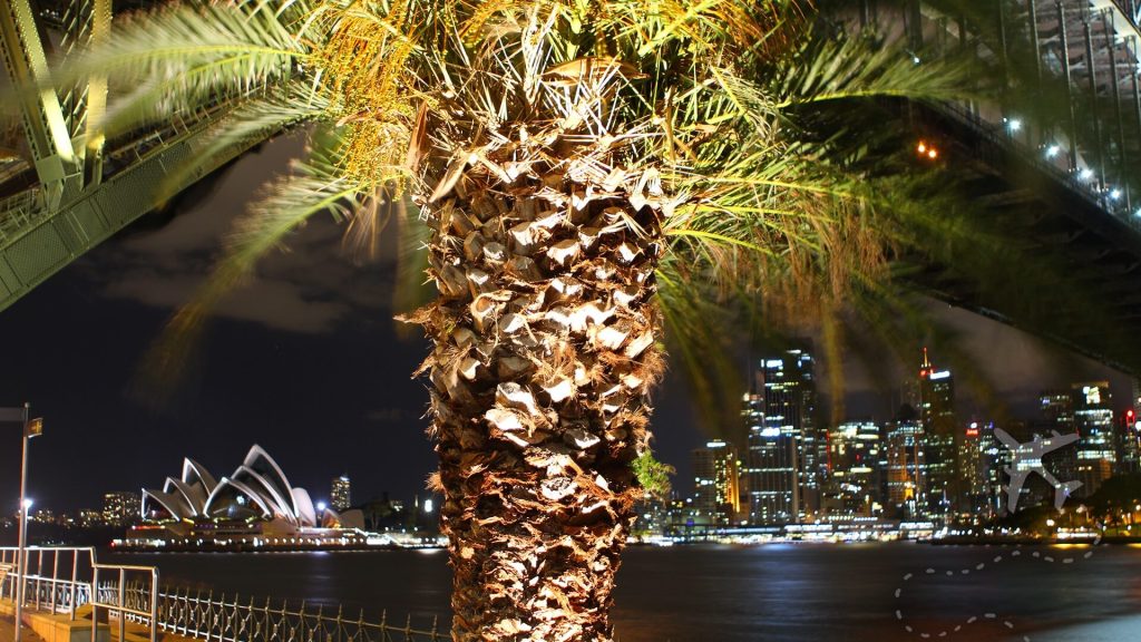 Sydney Harbour from Luna Park