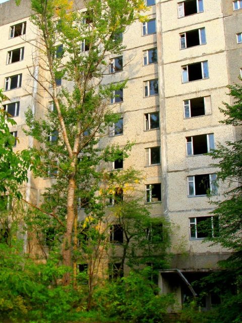 Apartment block in Pripyat, near the Chernobyl Power Plant